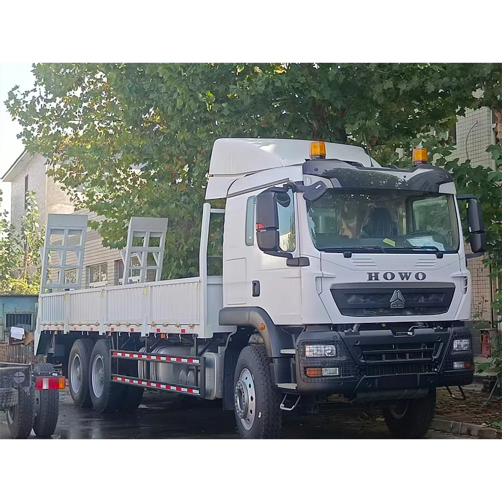 HOWO TX 6x4 Crago Truck