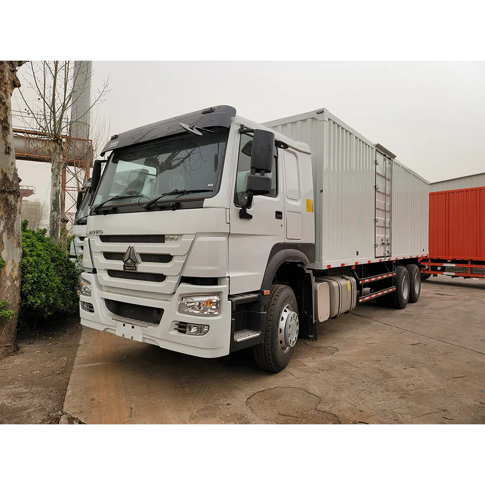 HOWO 6x4 Cargo Truck