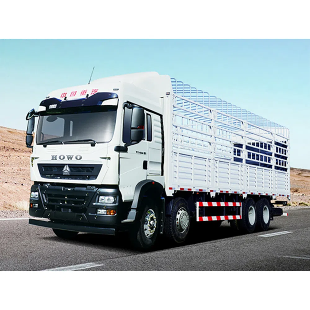 HOWO TX 8x4 Crago Truck