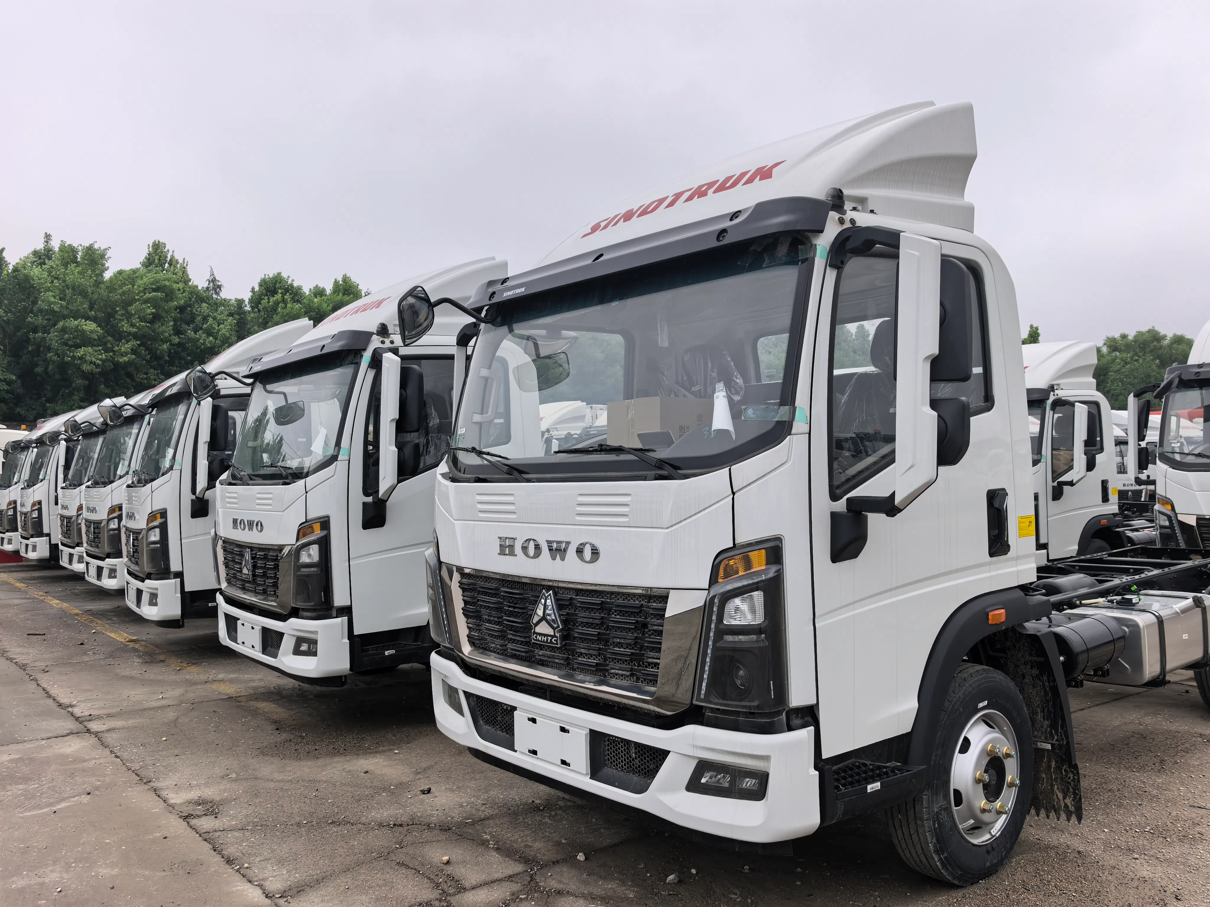 Light cargo Truck