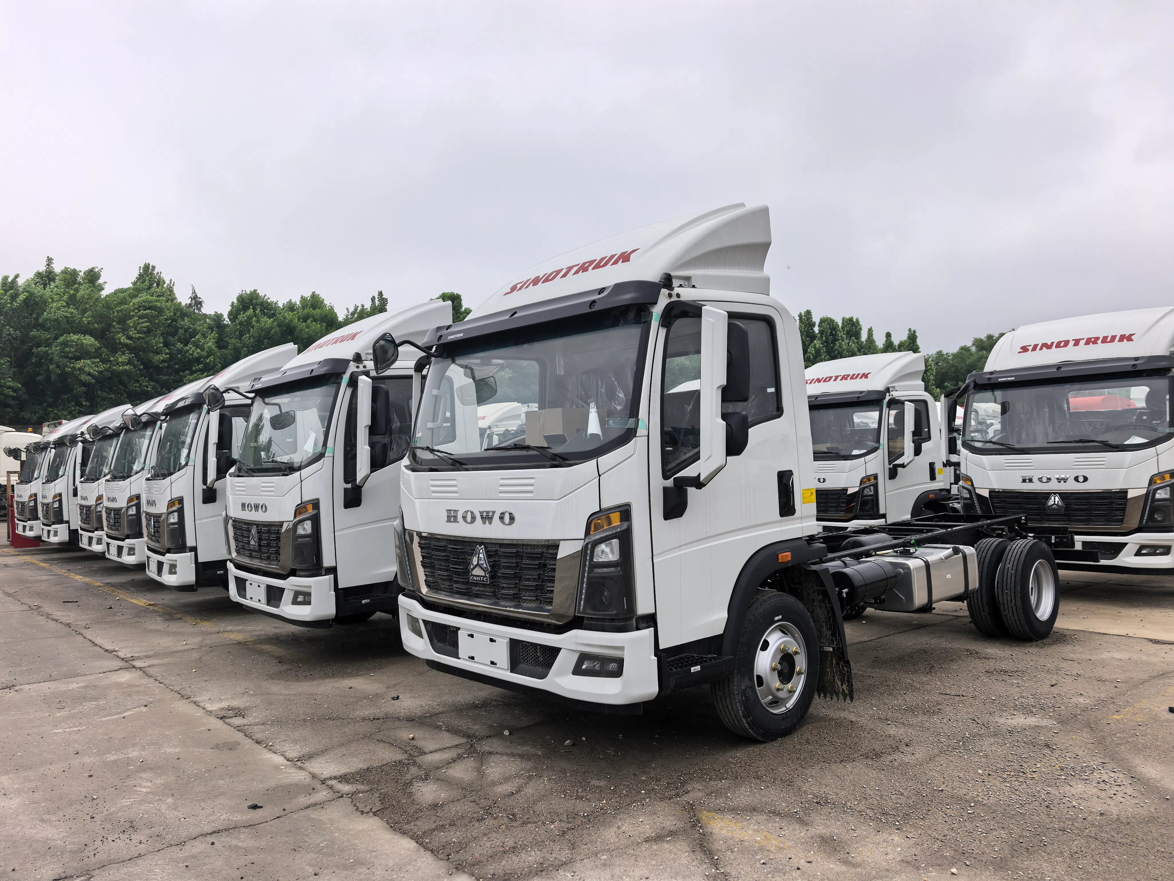 Light cargo Truck
