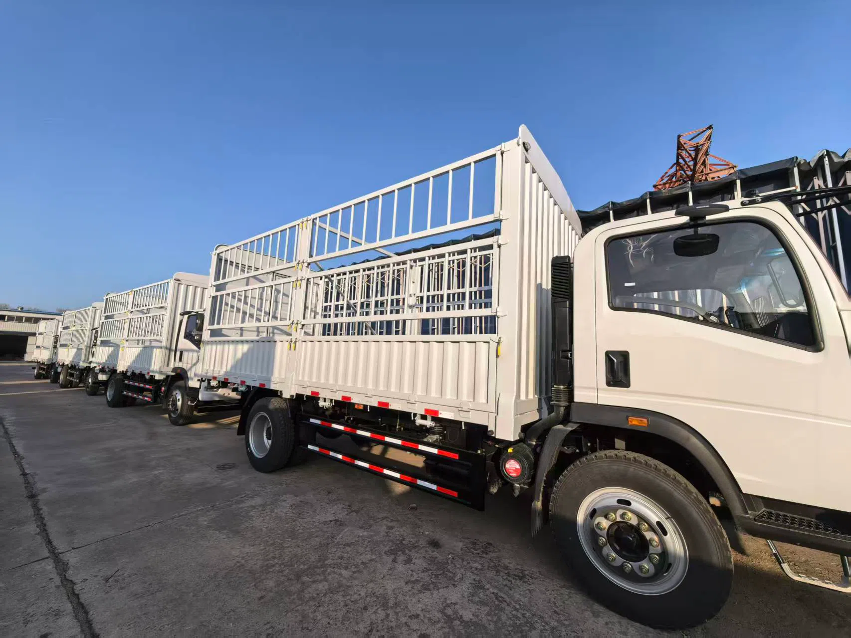 Light cargo Truck