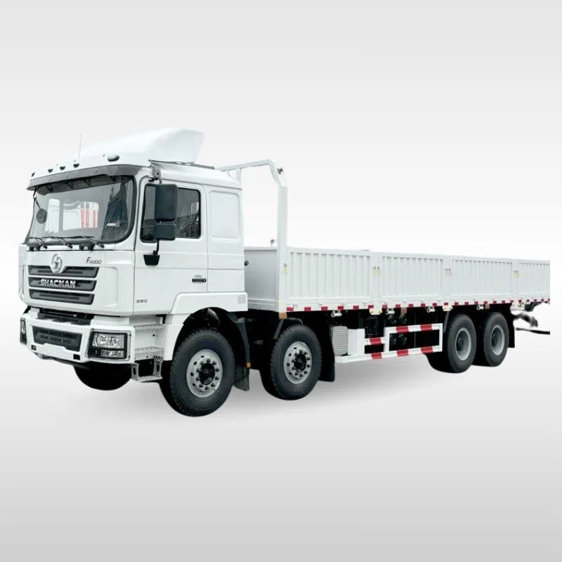 Shacman F3000 8x4 Cargo Truck