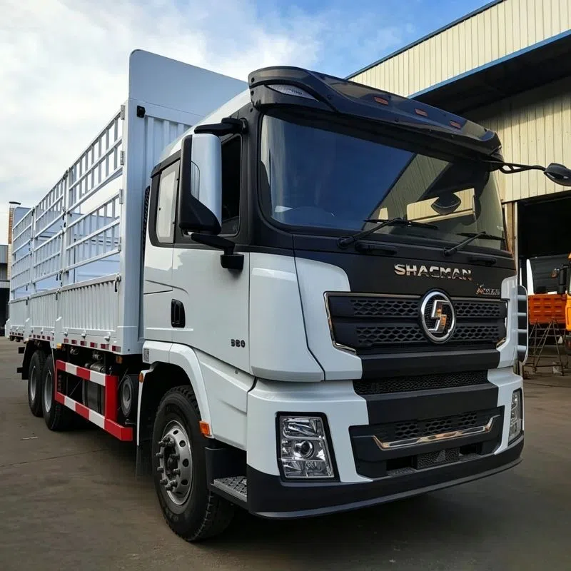 Shacman X3000 6×4 Cargo Truck