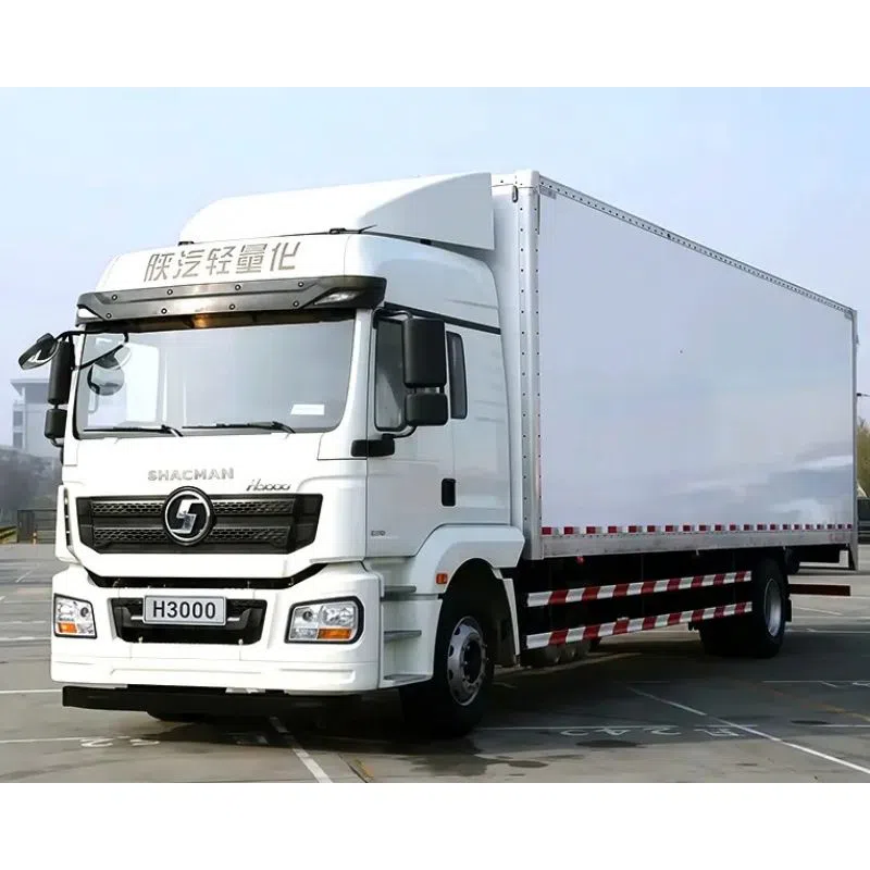 Shacman H3000 4×2 Cargo Truck