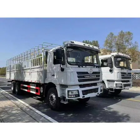 Shacman H3000 6×4 Cargo Truck