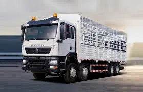 HOWO TX 8x4 Crago Truck