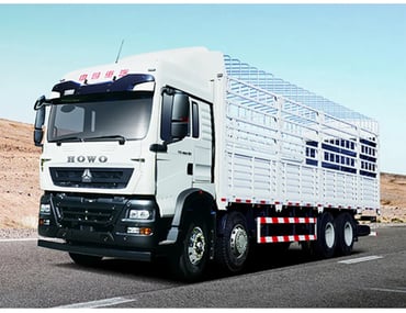 Camion HOWO TX 8x4 Crago