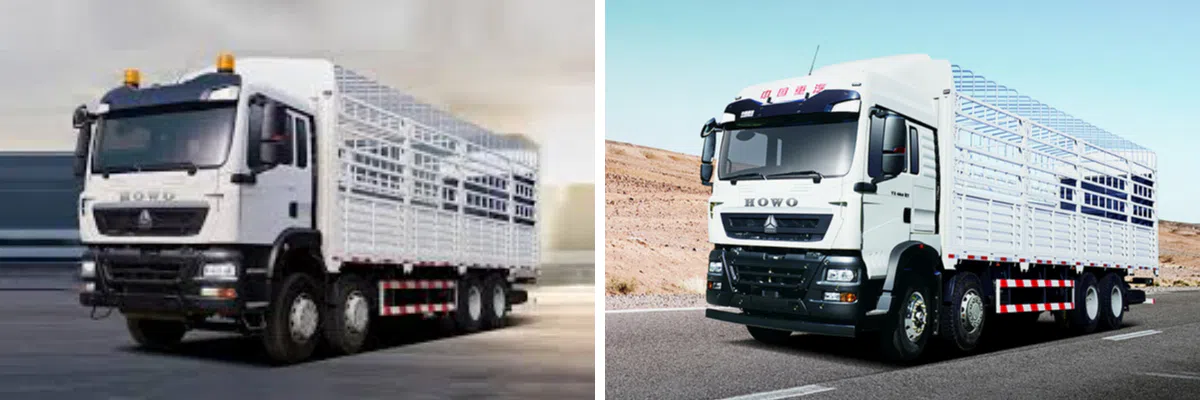 HOWO TX 8x4 Crago Truck